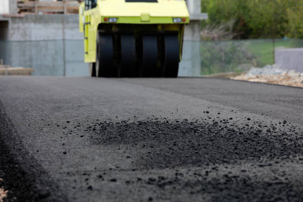 Best Driveway Pavers Near Me  in Mccamey, TX